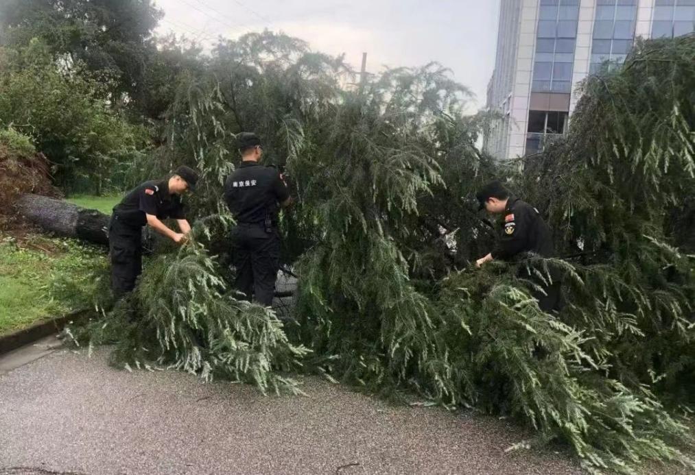 C:/Users/BA/Desktop/風雨過后南京保安迅速行動，恢復安“寧”面貌/1.jpg1