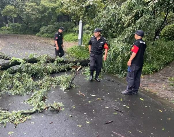 C:/Users/BA/Desktop/風雨過后南京保安迅速行動，恢復安“寧”面貌/7.jpg7